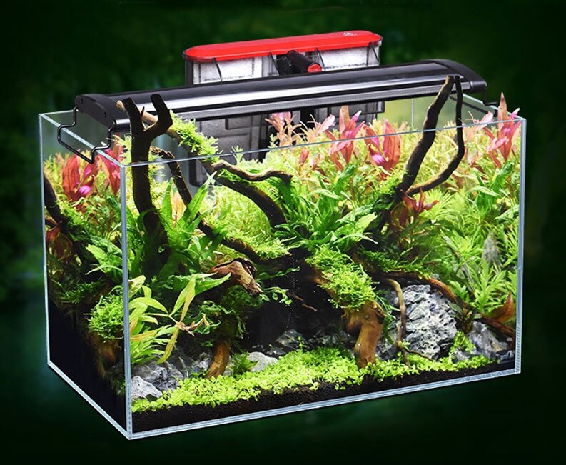 aquascape aquarium kit