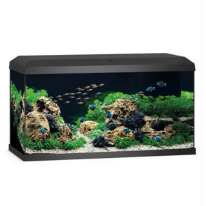 Primo 110 LED - Black