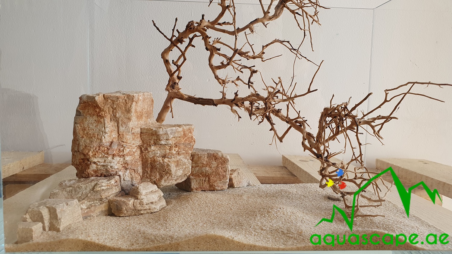 Desert top aquarium decorations