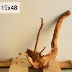 Spider Wood 19x48