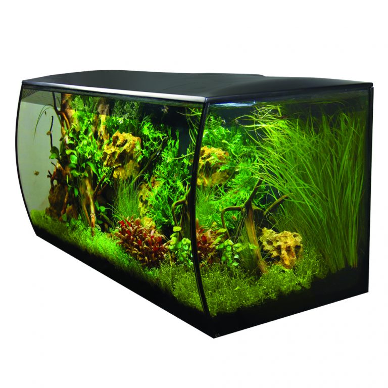 Fluval Flex 123L Aquarium Kit (32.5 US Gal), Black - aquascape