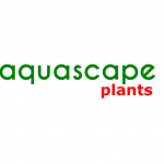 aquascapeplants
