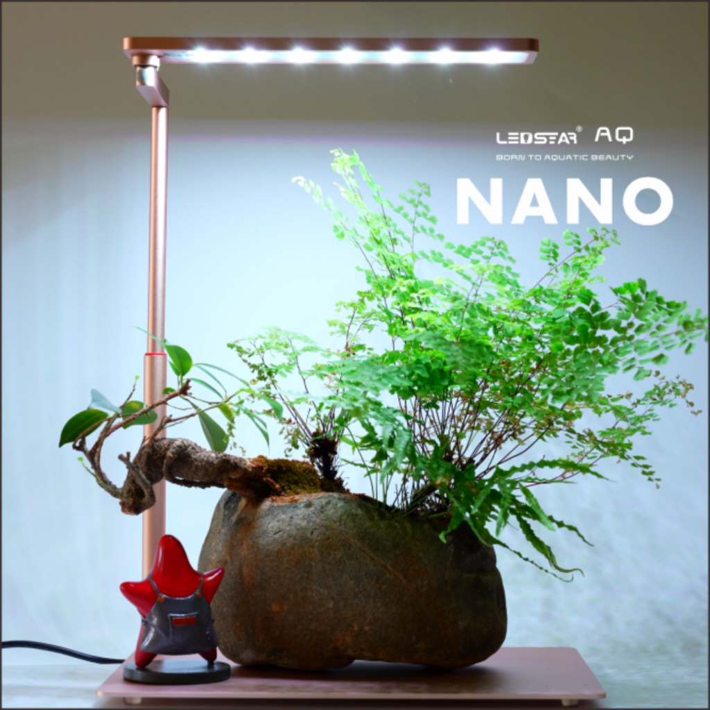 Screenshot-2022-09-29-at-00-12