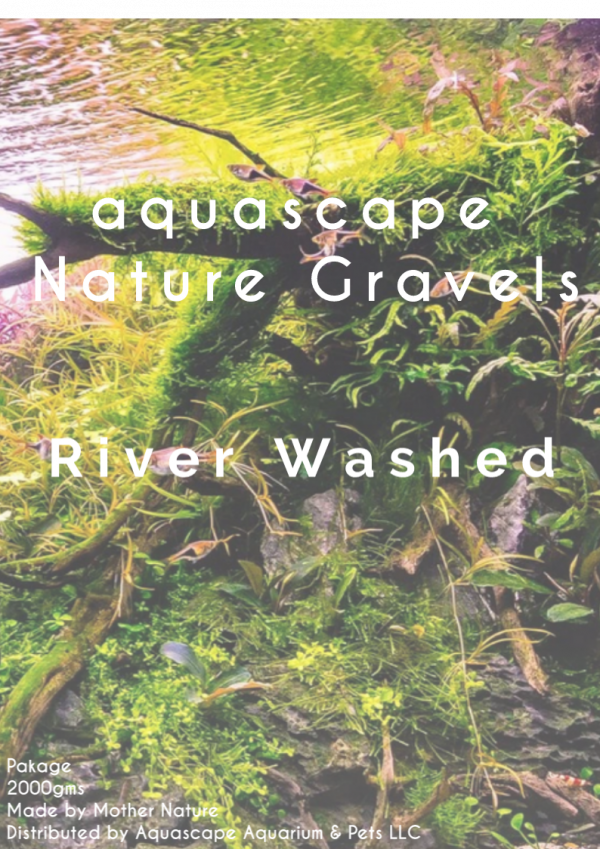 Aquascape nature gravel