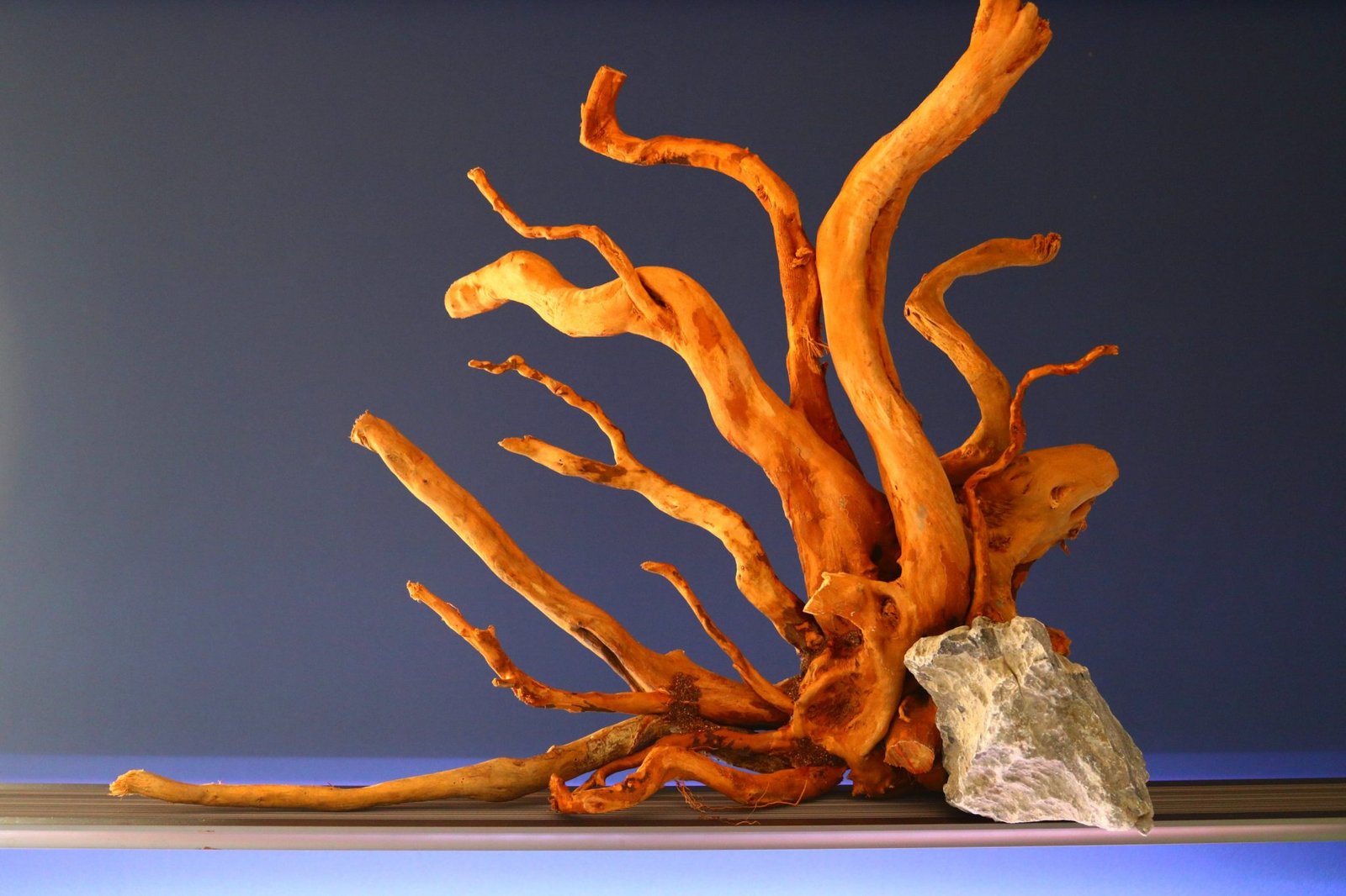 Ready Hardscape layout for 80 to 100cm Aquarium aquascape