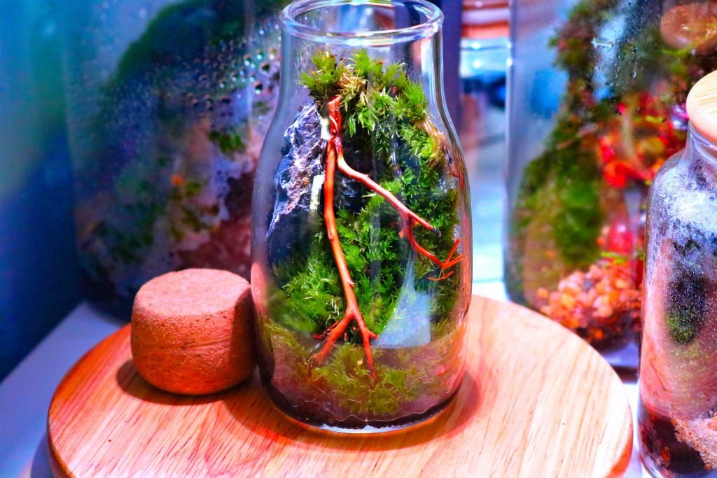 Nano Closed Terrarium aquascape