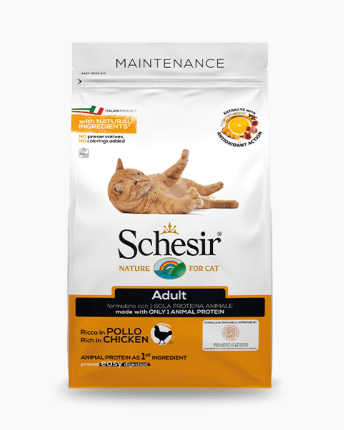 Only dry hotsell food for cats