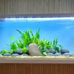 Aquascape Aquarium with frame 100x30x45