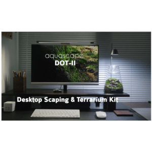 Complete Closed Terrarium Kit – Make your own Terrarium DIY - aquascape