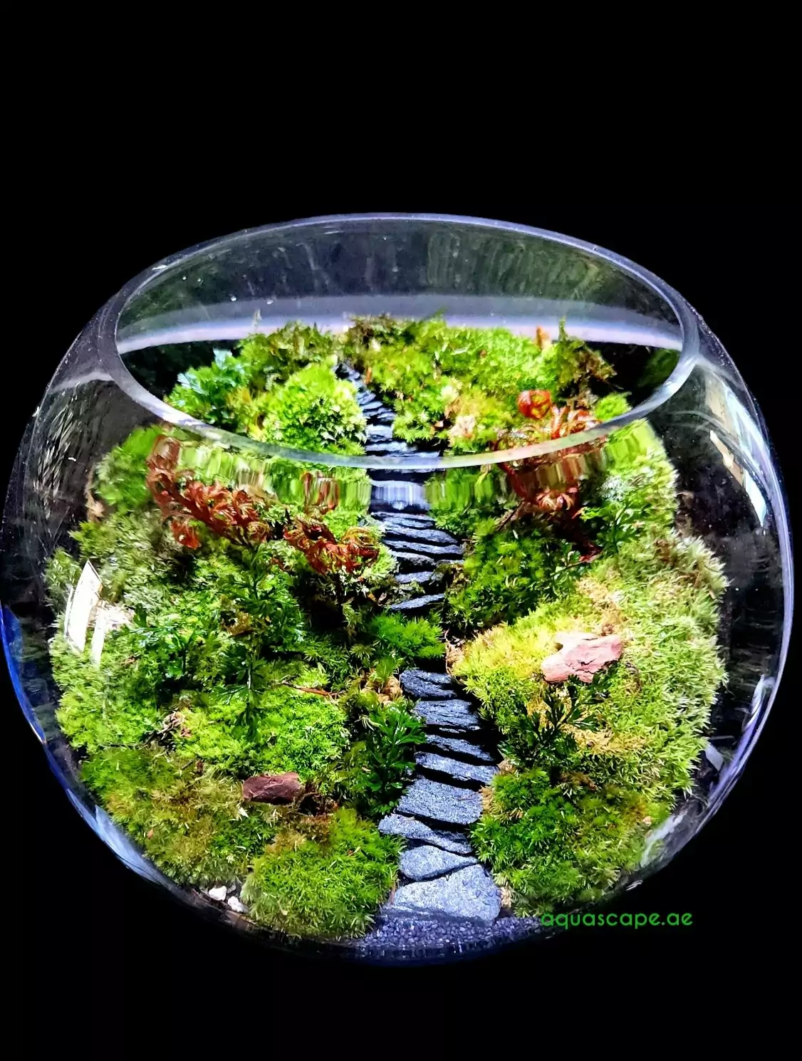 Country side Landscape Terrarium Bowl