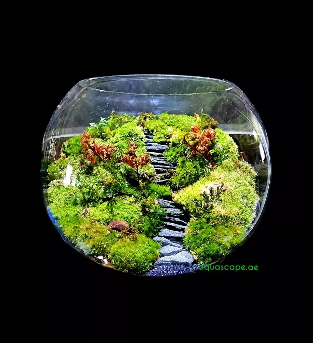 Country side Landscape Terrarium Bowl - Image 2