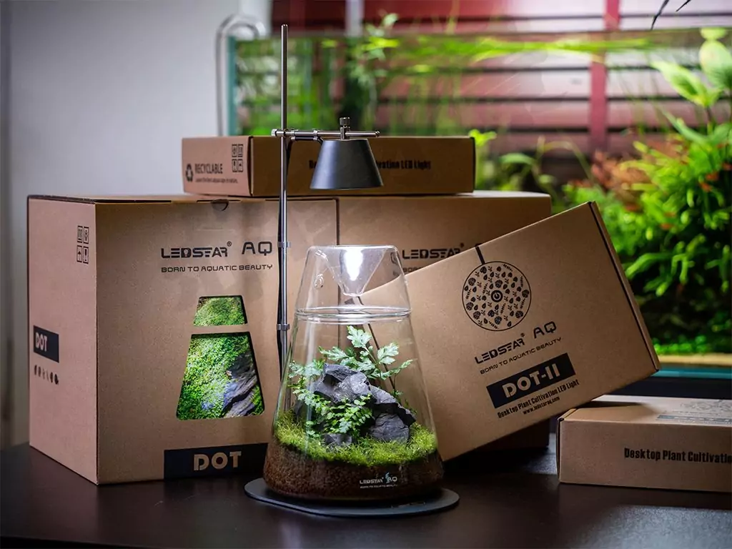 Terrarium Corporate Workshops