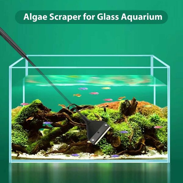 Nano Algae Sraper