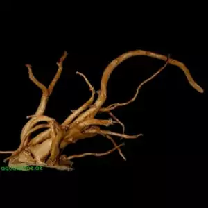 Driftwood 53x83