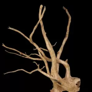 Driftwood 43x53