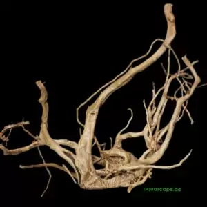 Driftwood 56x44