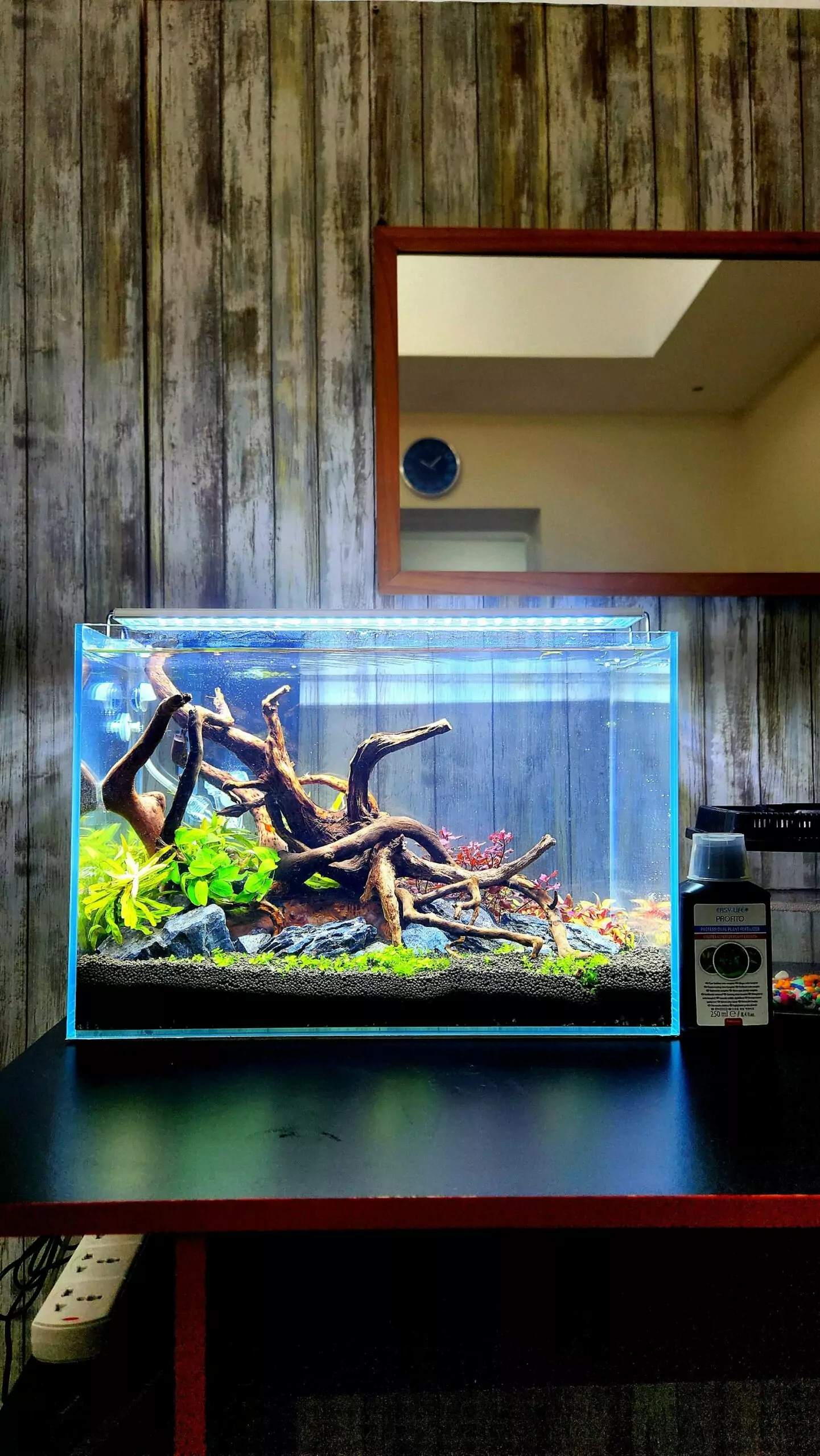 Aquascape Fish Tank