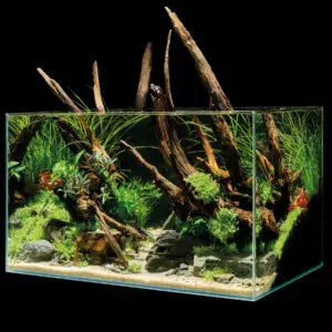 Oase ScaperLine 100 Aquarium