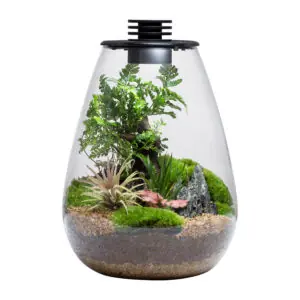 Bioloark SD175 Water Drop LED