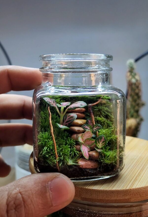 Mini Garden Terrarium - Image 2