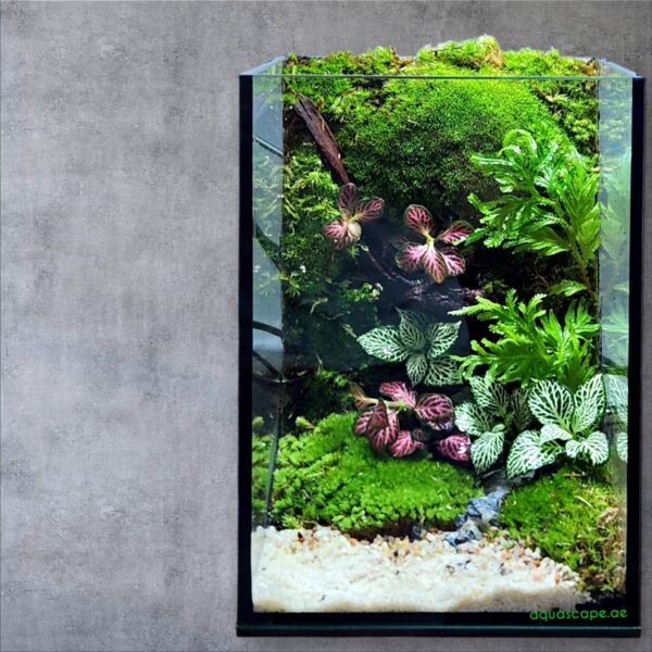 Forest Souvenir Terrarium