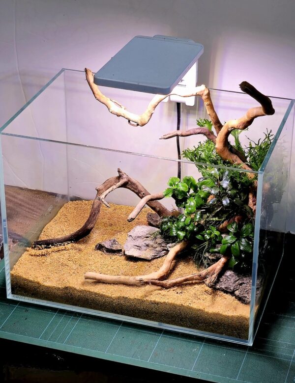 Aquascape Aquarium Artno.62624