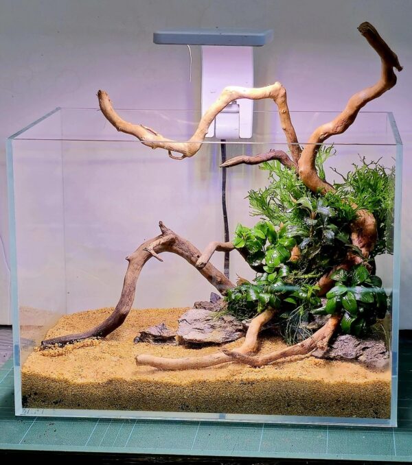 Aquascape Aquarium Artno.62624 - Image 2