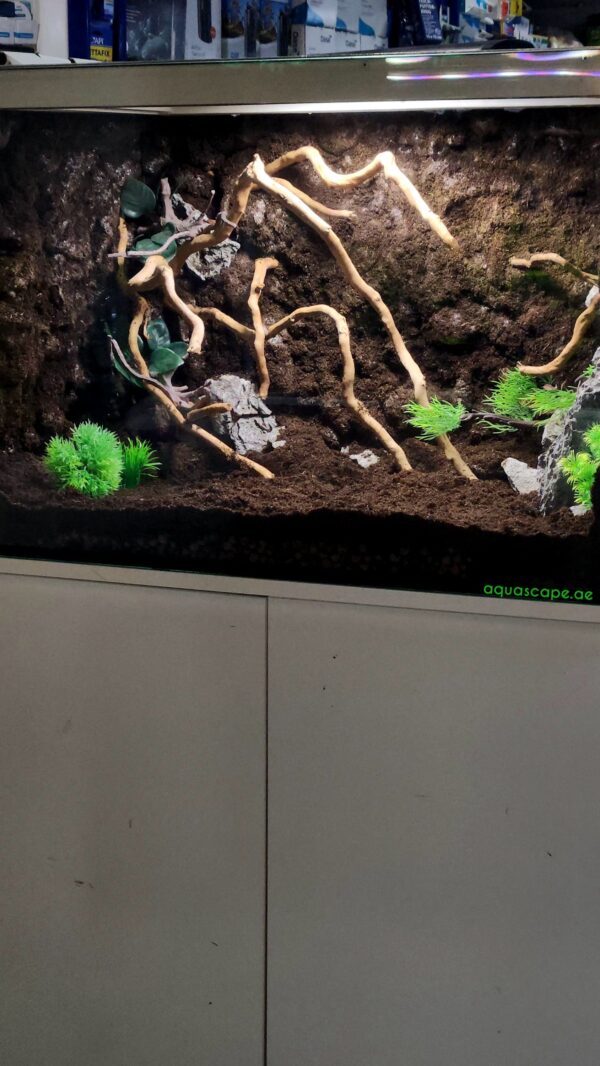 Terrarium for Tarantula Complete Edition - Image 2