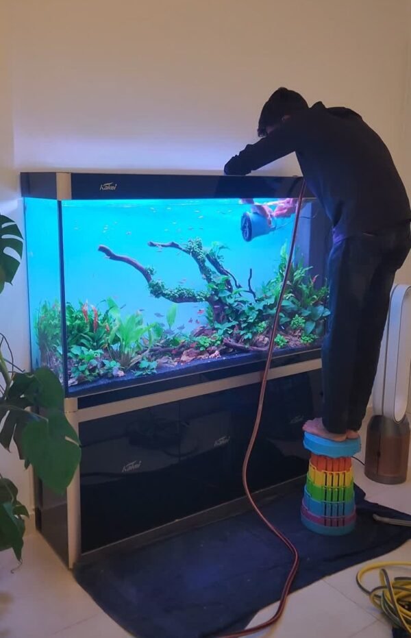 Aquascape Aquarium Setup Services