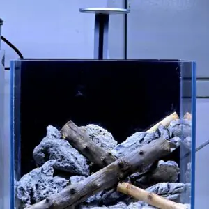 Prescaped fallen wood log aquascape aquarium