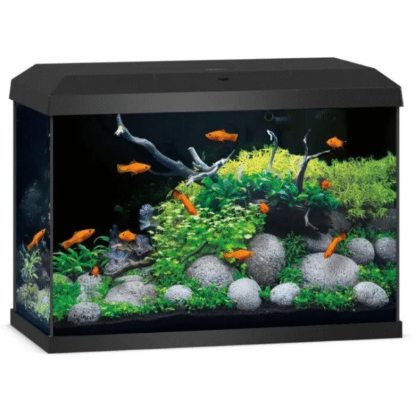 Primo 70 LED 2.0 Black