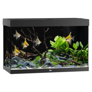 Juwel Rio 290 LED Black