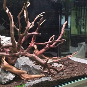 Aquascape Aquarium Prescaped