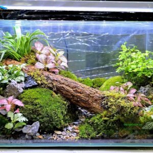 The fallen terrascape terrarium
