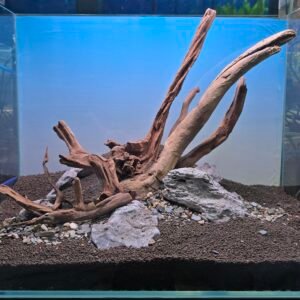 The Ascent | Premium Ready-to-Plant Aquascape Layout