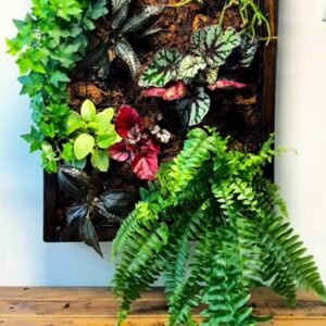 Handmade Living Plant Frame | Vertical Garden Wall Art by Aquascape.ae