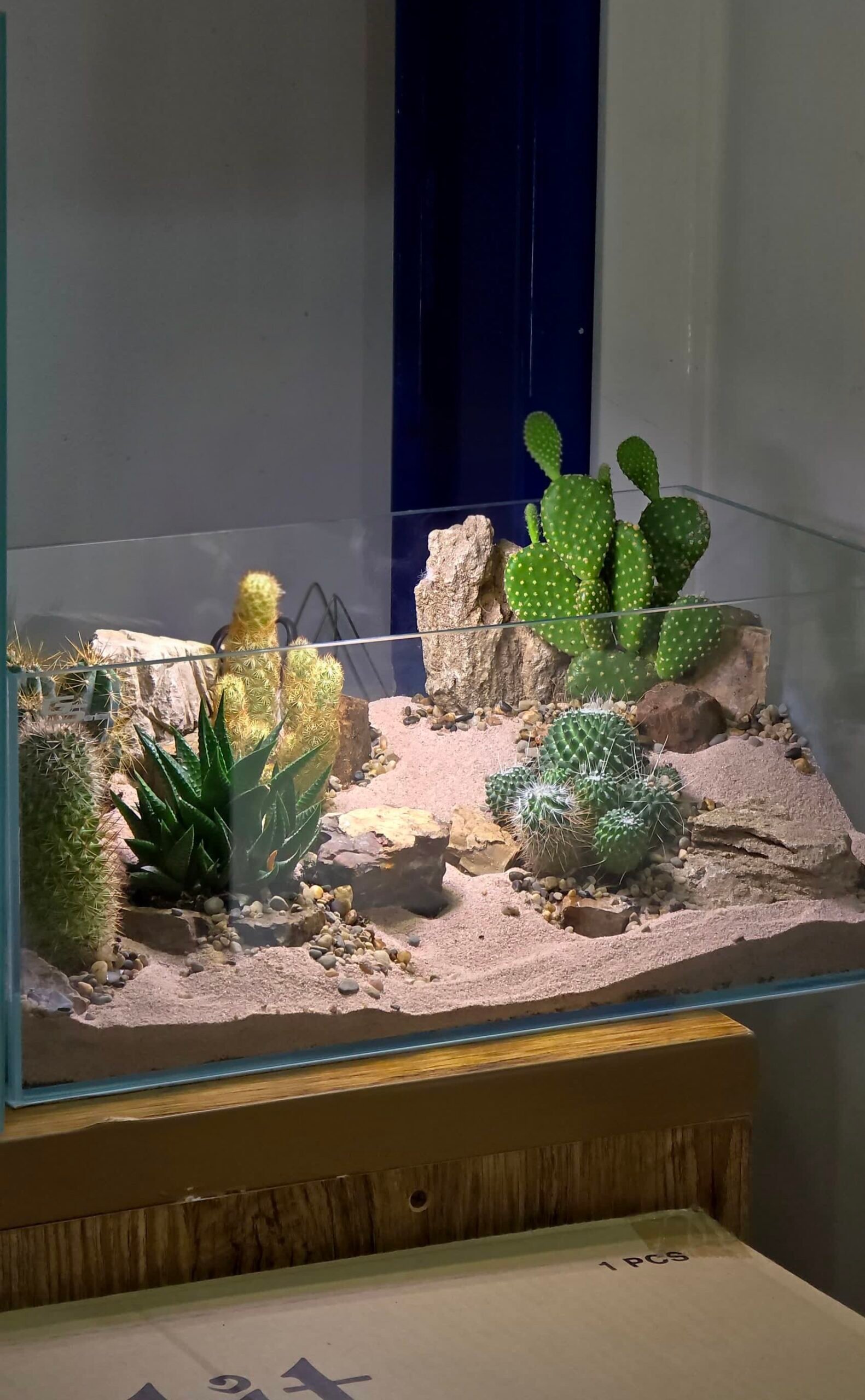 UAE Desert-Inspired Premium Succulent & Cactus Terrarium – By Aquascape.ae