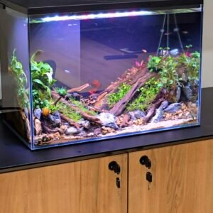 Office Planted Aquascape Aquarium